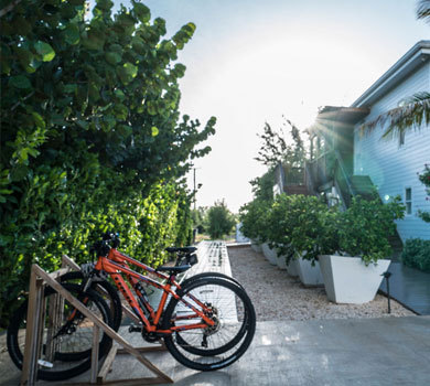 bikes