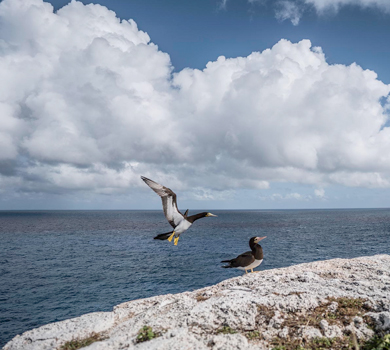 cayman-2-589e13a23bb80.jpg