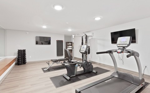 the hotel gym with equipment 