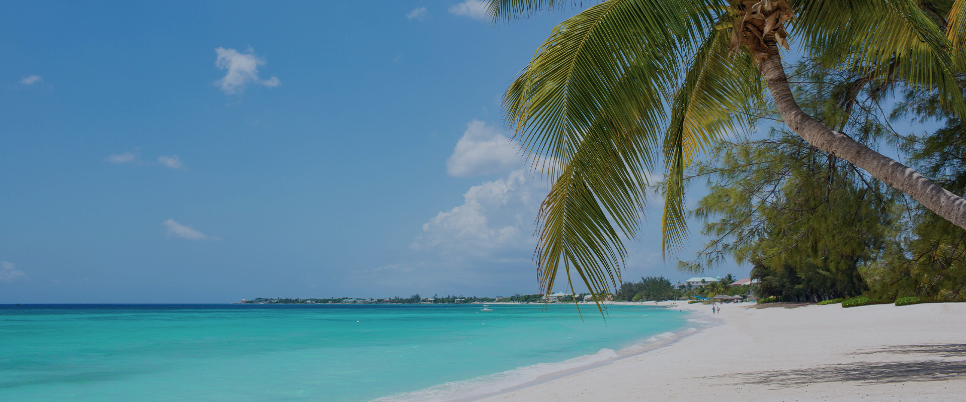 strip of white sand beach with palm tree, clear aqua ocean water on a sunny day