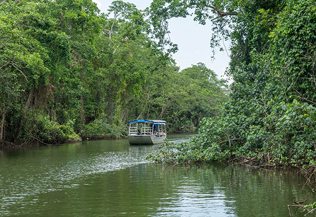 pontoon boat coasting down a river surrounded by lush jungle on each side