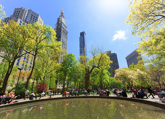 madison square park with a small pond