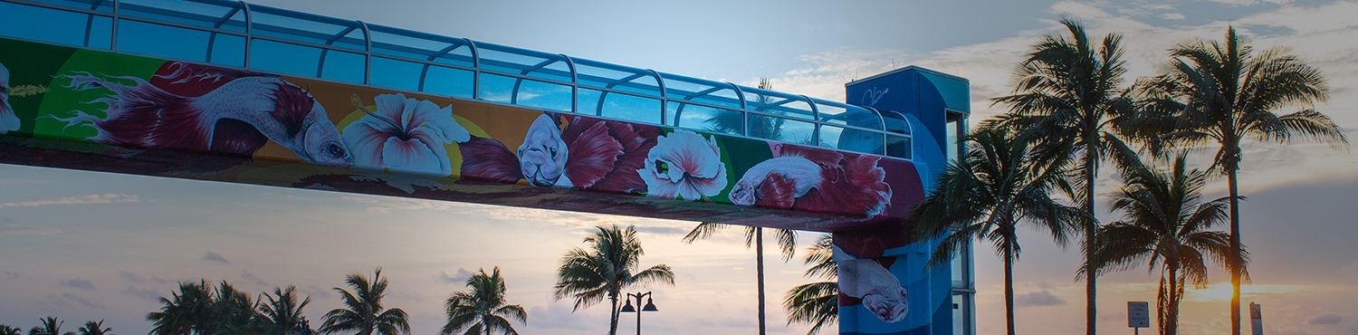 Beach access bridge at sunset with painted fish mural and palm trees