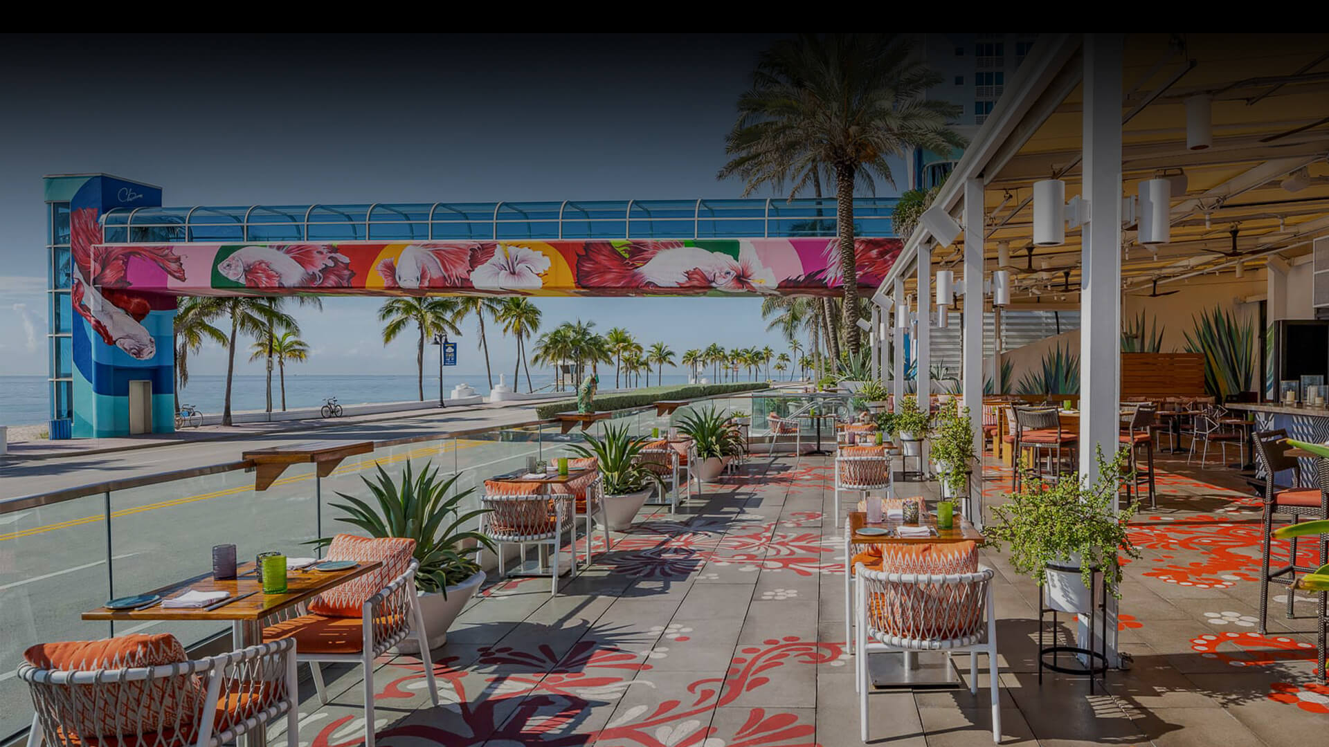 Outdoor dining in the day time