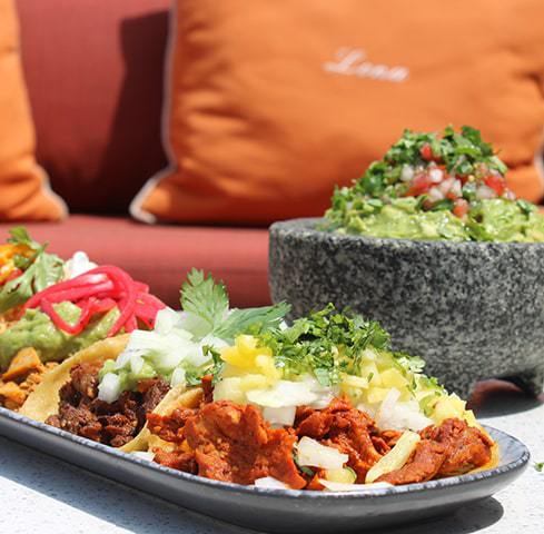 Full tacos on plate in front of bowl of quacamole