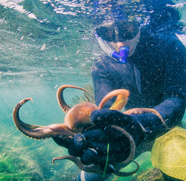 A person holding an octopus on its hands while diving