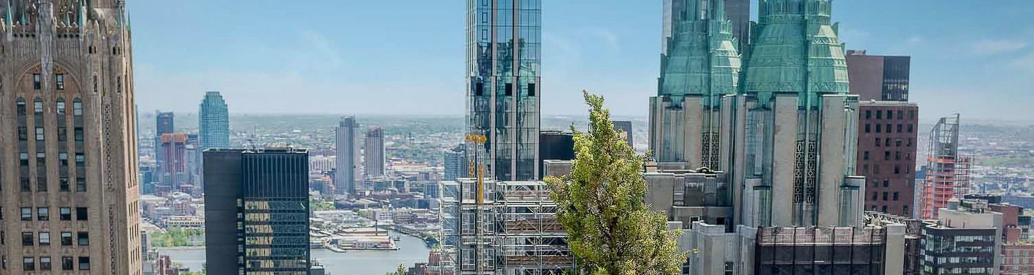 skyline view daytime