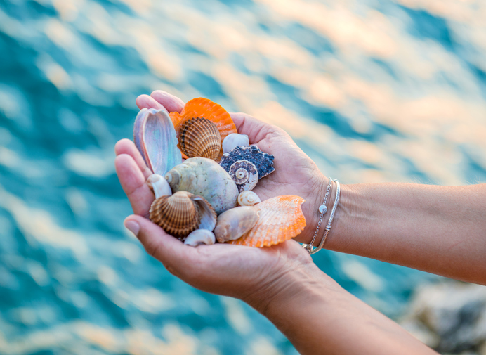 woman holding seashells