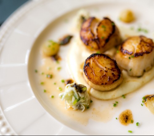 plate of scallops