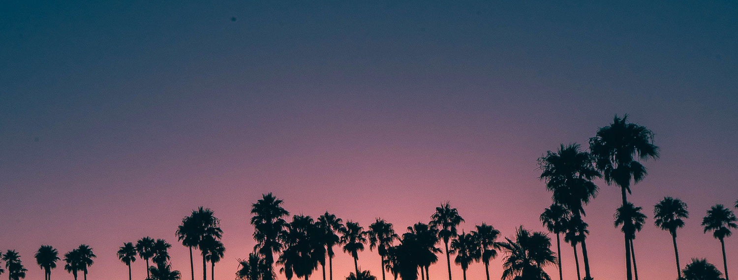 header offers