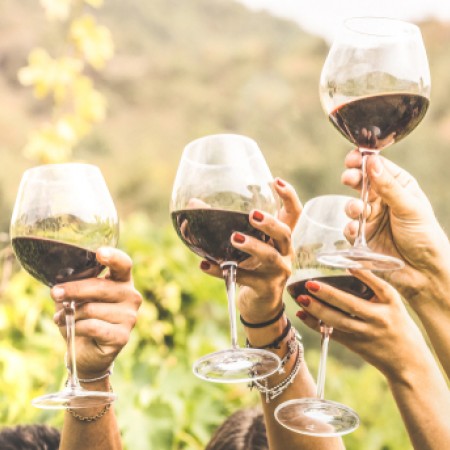 red wine toast