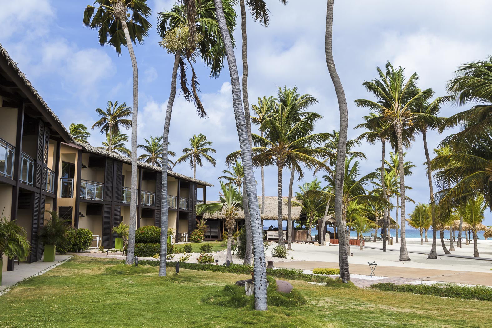 Oceanfront Resorts in Aruba  Manchebo Beach Resort  Spa