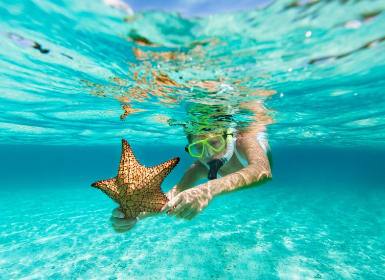 woman snorkeling holding starfish 