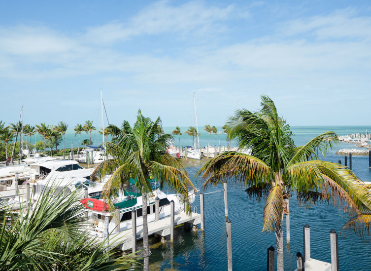 Aerial view of marina with boats