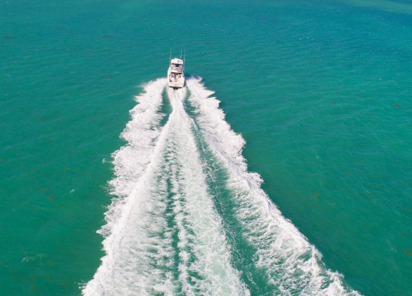 white fishing boat cruising through blue green ocean water