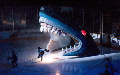 San Jose Sharks entering the ice through big blue shark model