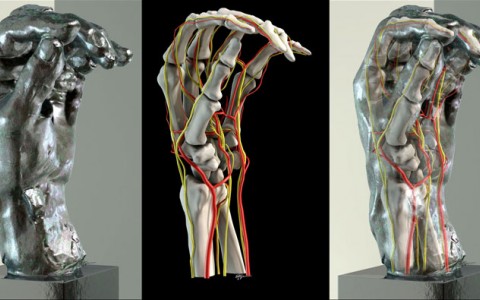 3 images of a hang gradual transforming from a computer generated skeleton to a metal sculpture