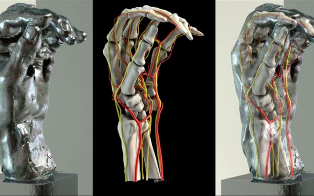 3 images of a hang gradual transforming from a computer generated skeleton to a metal sculpture