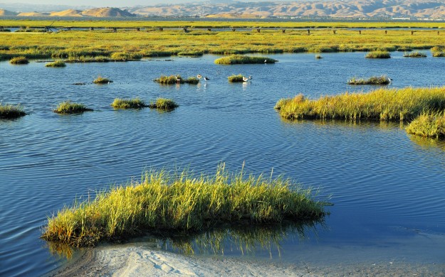 marshy swamp land with rolling mountains in the background
