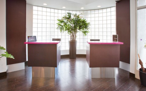 Menlo lobby, walk in to dual desks in front of large glass block window and plant