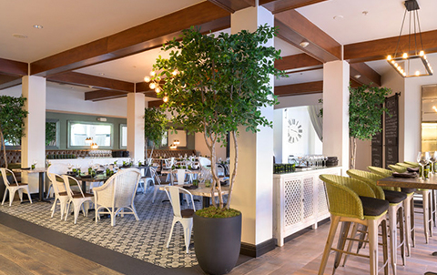 View of Olive and Hay with white and green chairs