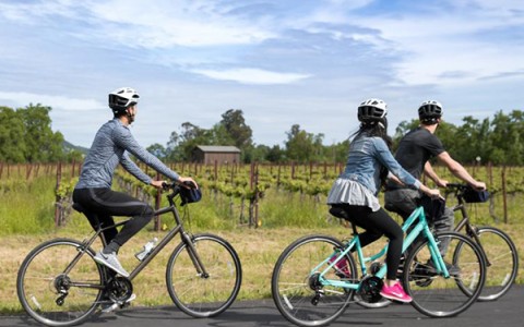 three people riding bikes alongside a vineyard