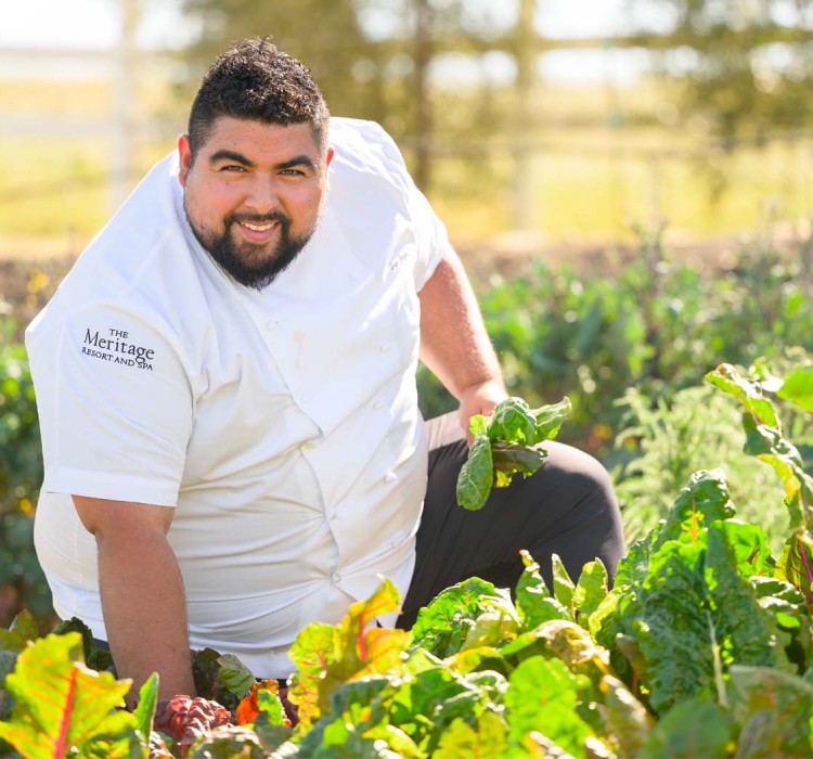 male culinary team member picking fresh produce options from the garden