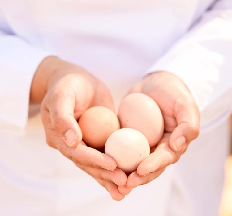 meritage culinary team member holding three fresh eggs in their hands