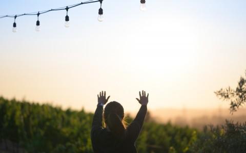 Person standing with their hands up in a field