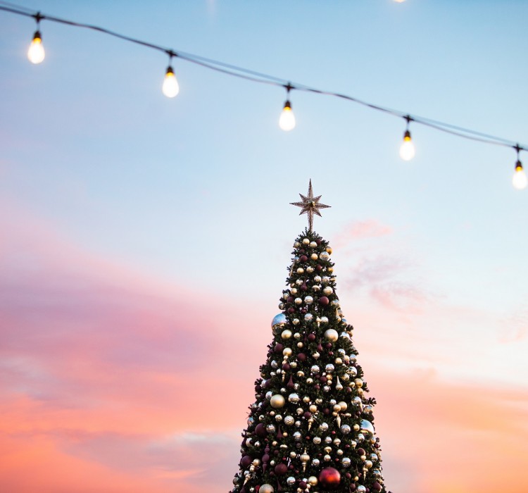 Meritage Resort Christmas Tree