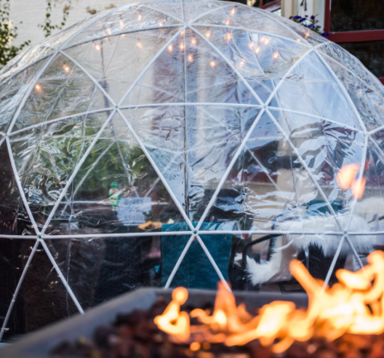 Private dining in igloo
