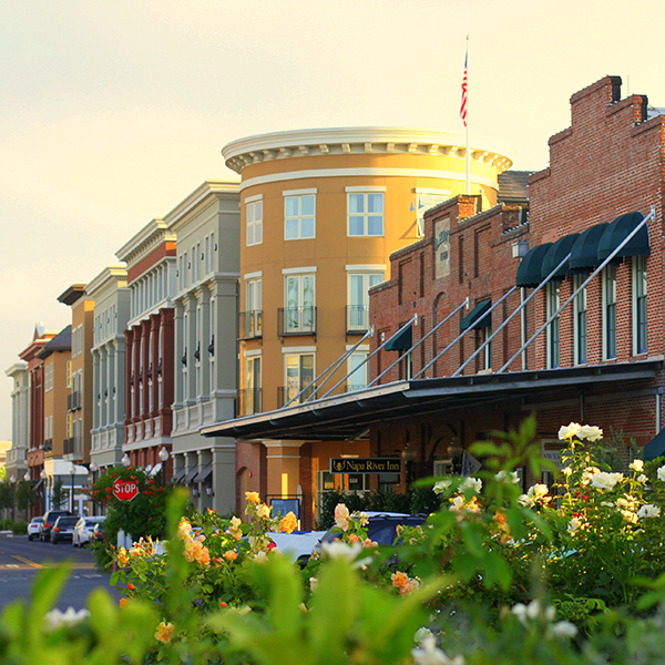 Different color buildings next to each other with flowers in the front