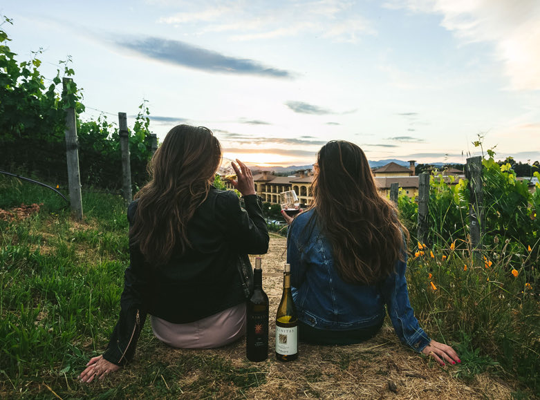 meritage group activities experiences wine tasting