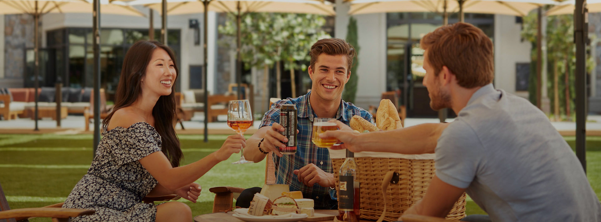 Group of three friends toasting during a picnic outdoors
