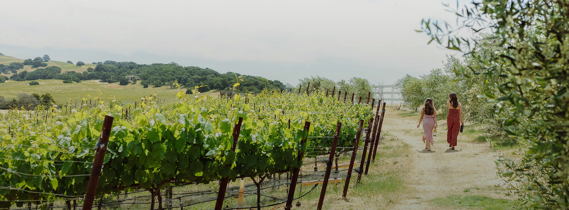 two women walking together at a vineyard