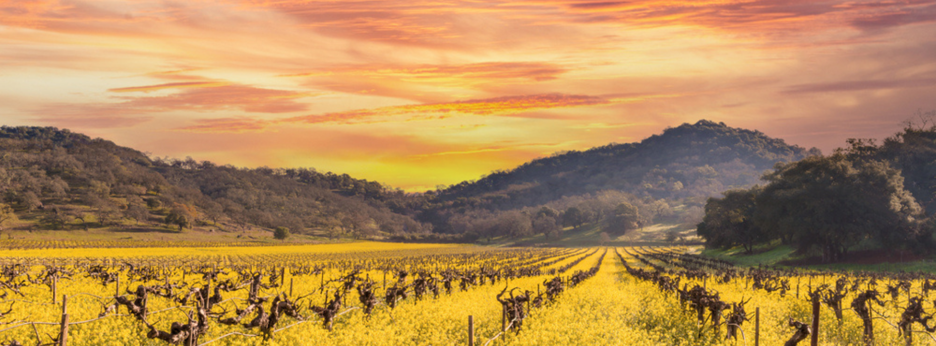stay_golden_mount_meritage_resort_header