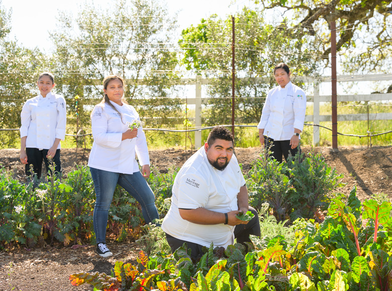 meritage culinary team harvesting fresh produce and herbs from a local garden