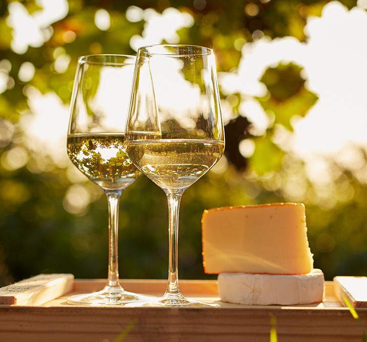 view of two glasses of white wine anf cheese
