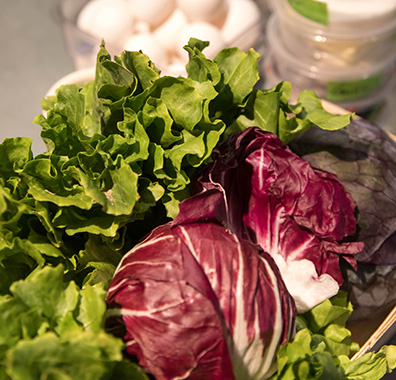 close up of fresh green leaf lettuce and red cabbage