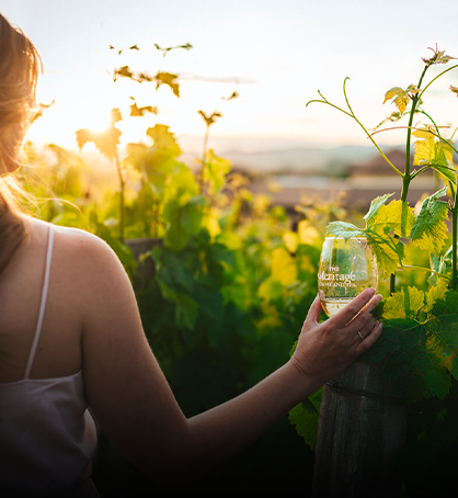 woman walking through vinyard
