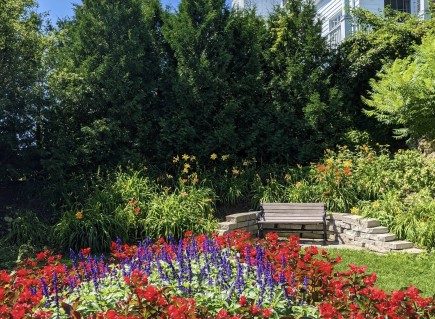 a bench surrounded by trees, red and purple flowers
