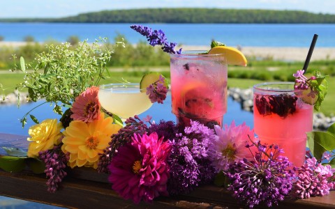 view of some colorful cocktails surrounded by flowers