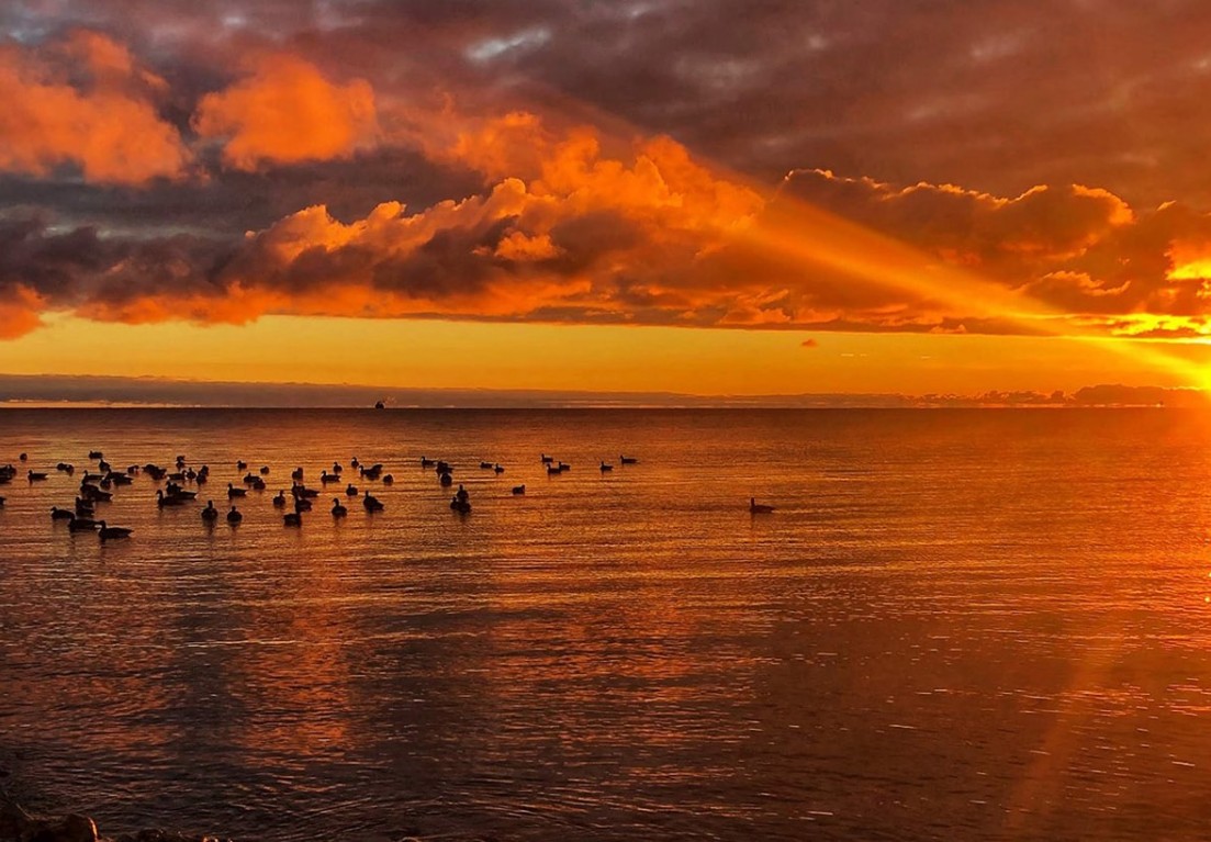 a beautiful sunset view in the sea