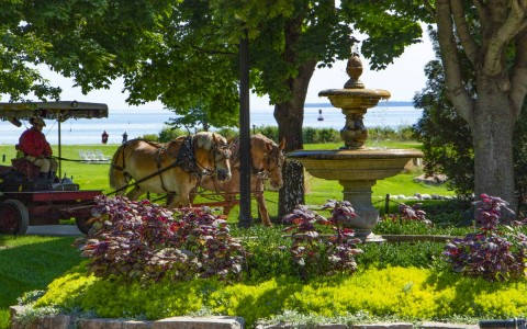 horses walking and a fountain outside 