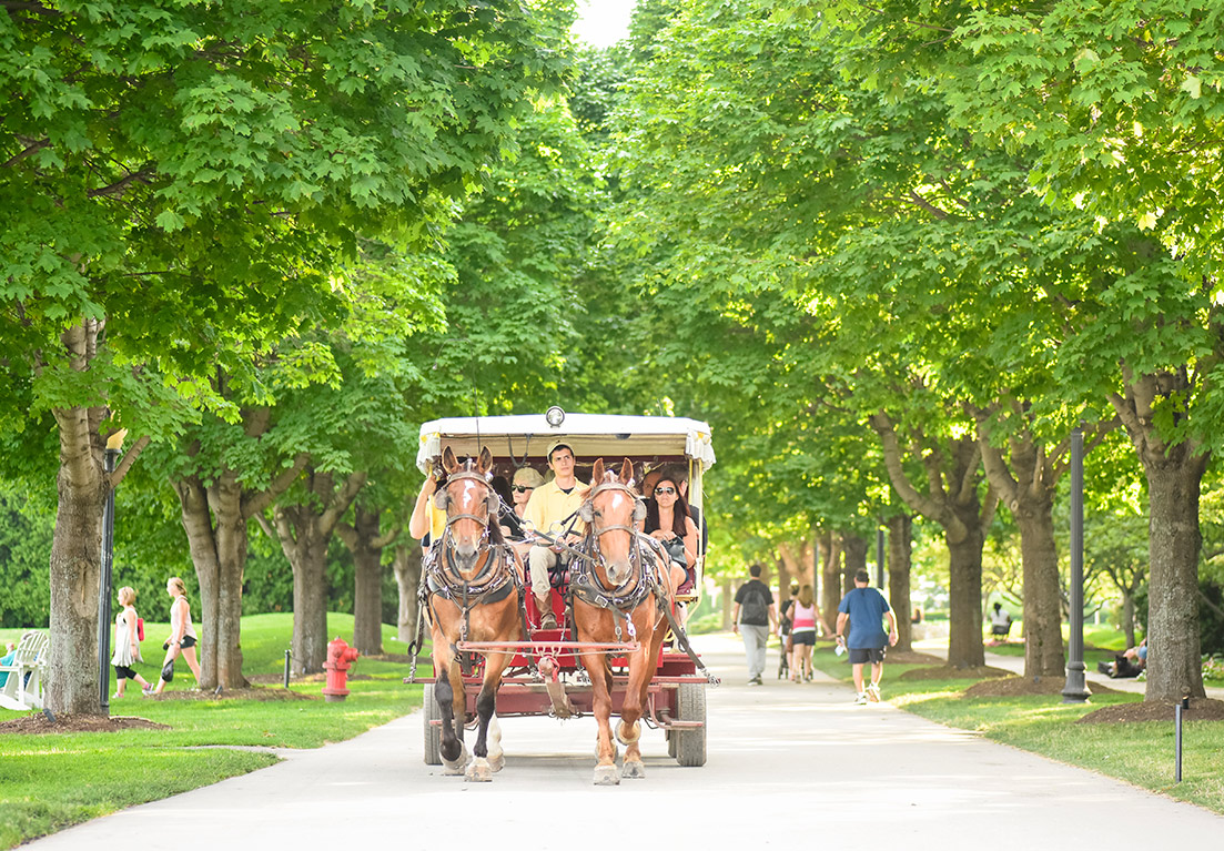 a group of people in a carriage being taken by two horses and a men sitting behind the horse gear the horse where to take the sight seeing