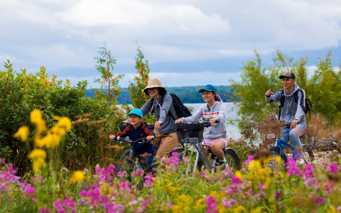 people riding a bike in a garden 
