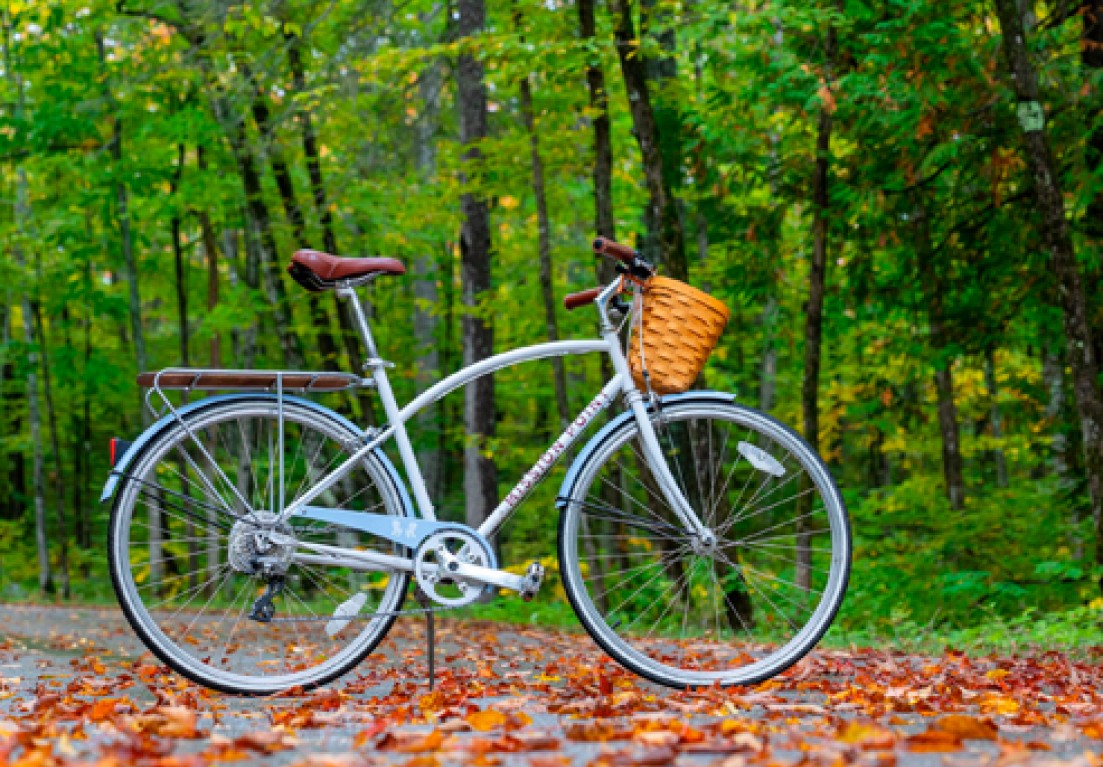 blue bicycle outside parked next to greenery