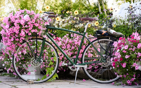 Bike_edit min