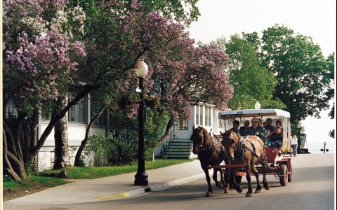 horses pulling a carriage full of people down the street