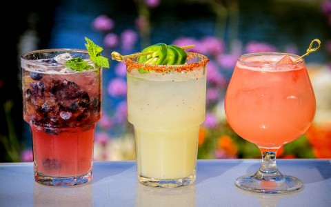 colorful cocktails garnished with fruit